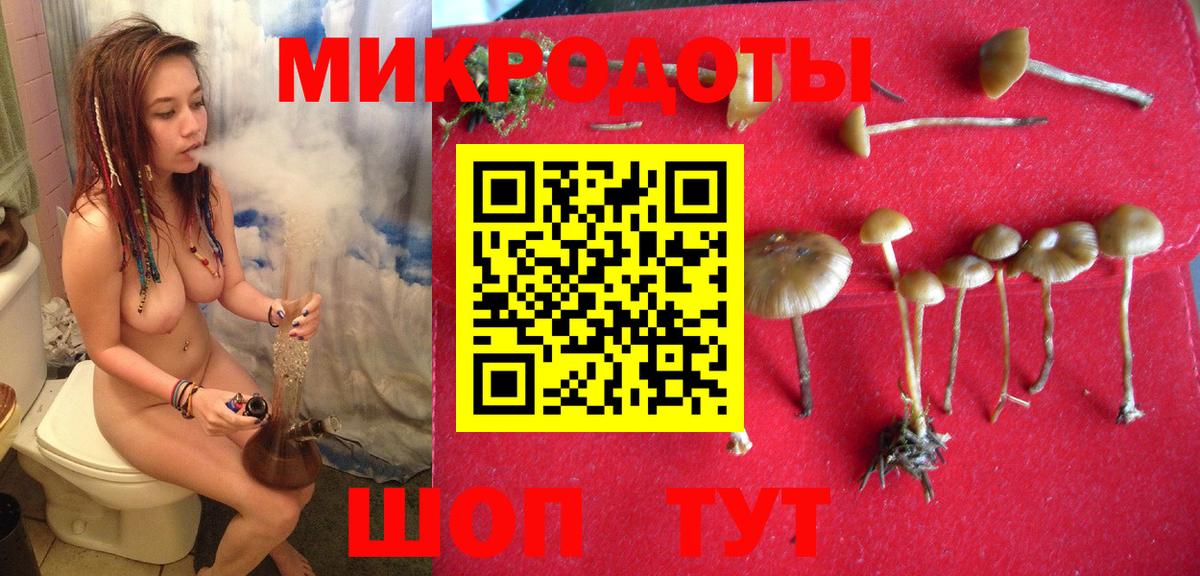 Галлюциногенные грибы MAGIC MUSHROOMS  Вход с VPN  Азнакаево  Галлюциногенные грибы прущие грибы 